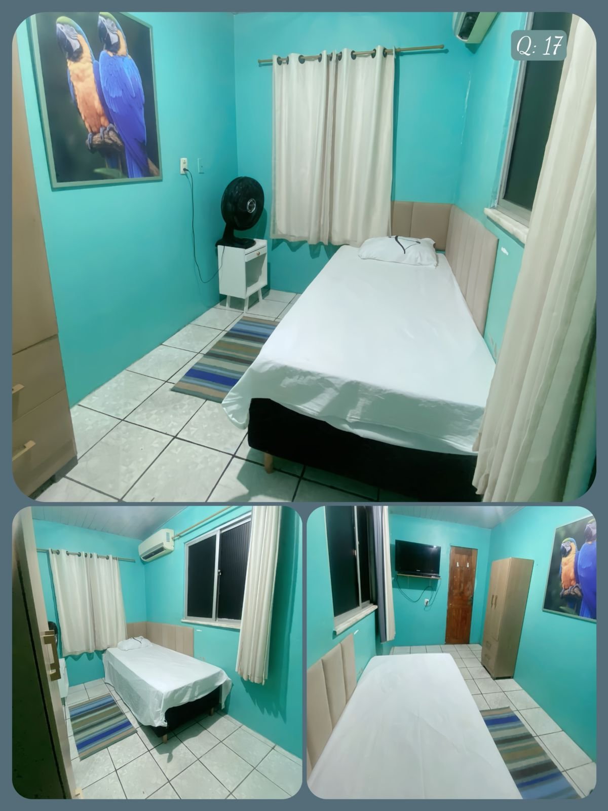 WhatsApp Image 2026-02-13 at 12.33.13